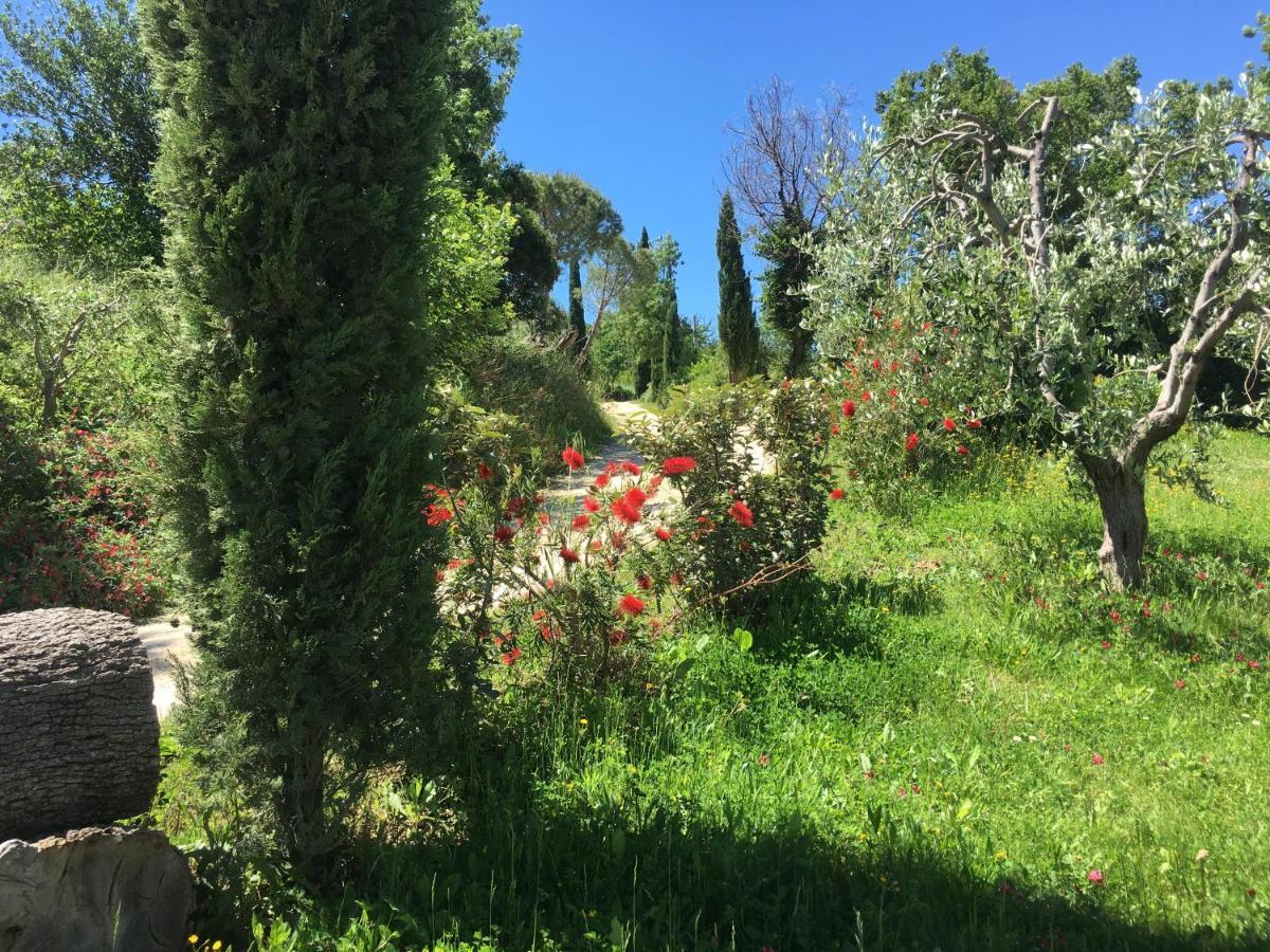 Agriturismo Fontenuova Daire Saturnia Dış mekan fotoğraf