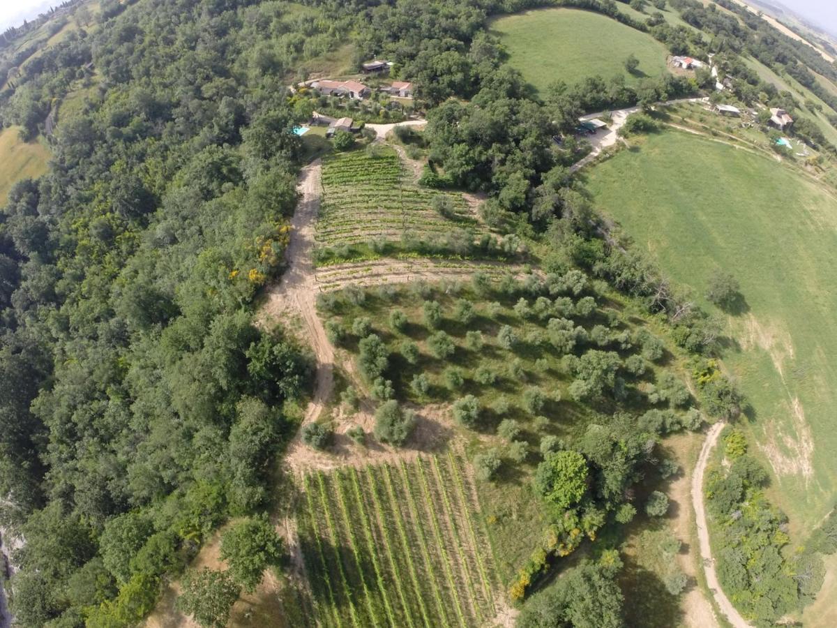 Agriturismo Fontenuova Daire Saturnia Dış mekan fotoğraf