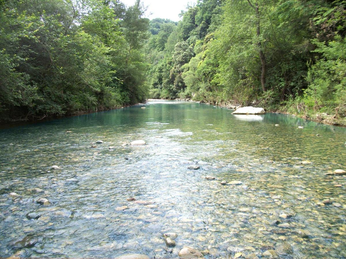 Agriturismo Fontenuova Daire Saturnia Dış mekan fotoğraf