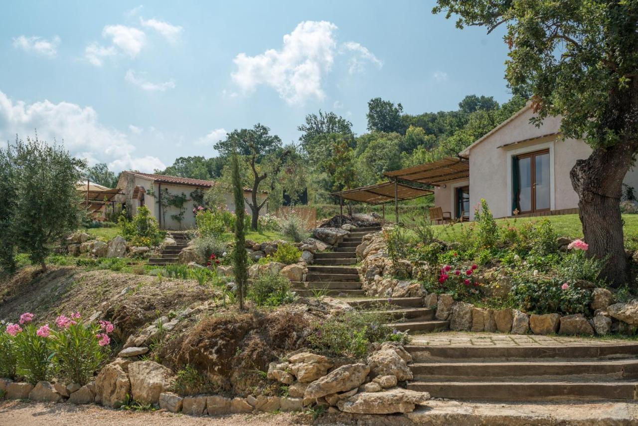 Agriturismo Fontenuova Daire Saturnia Dış mekan fotoğraf