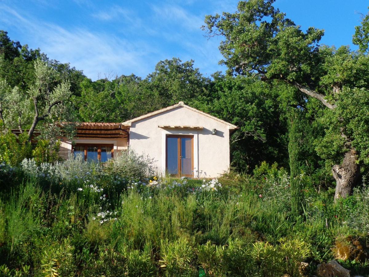 Agriturismo Fontenuova Daire Saturnia Dış mekan fotoğraf