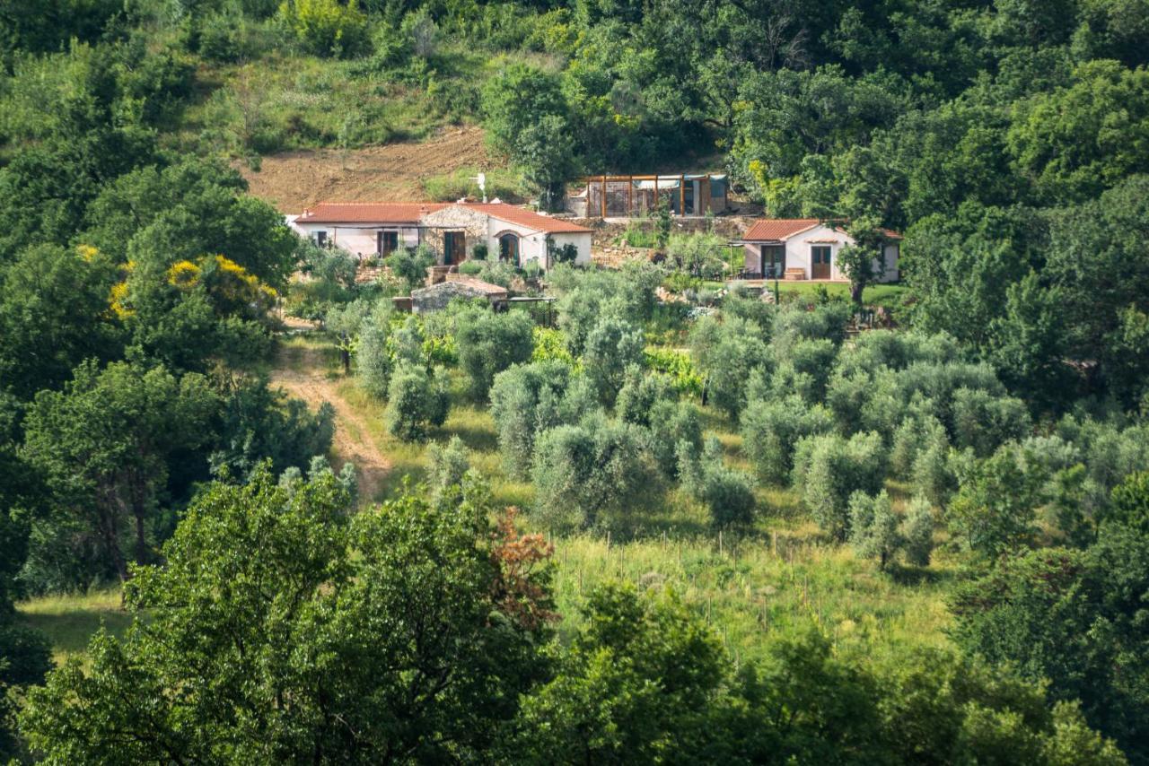 Agriturismo Fontenuova Daire Saturnia Dış mekan fotoğraf