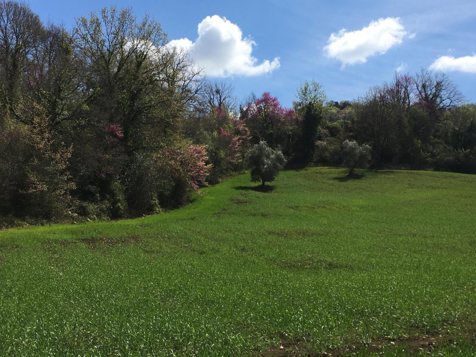 Agriturismo Fontenuova Daire Saturnia Dış mekan fotoğraf