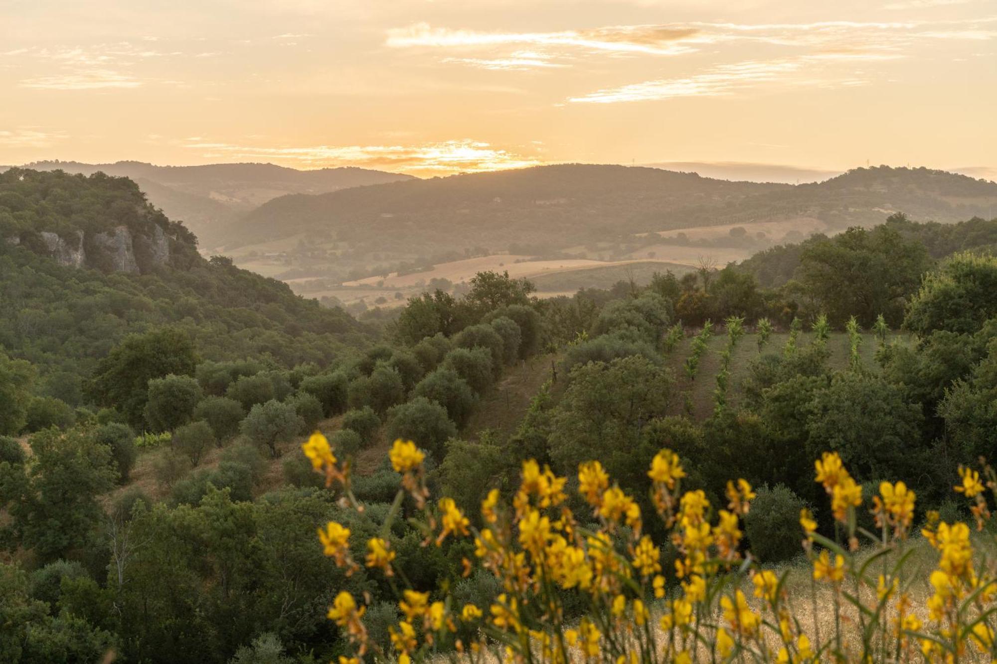 Agriturismo Fontenuova Daire Saturnia Dış mekan fotoğraf